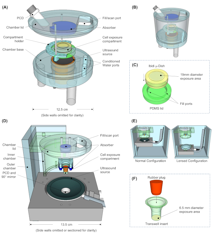 Ultrasound exposure system diagram; cell compartment, absorber, PCD labeled; for biological studies.