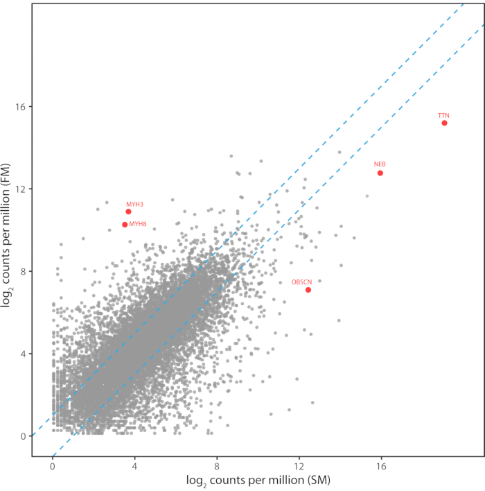 figure-results-6 MA-plot showing log₂ counts per million; data comparison in gene expression analysis.