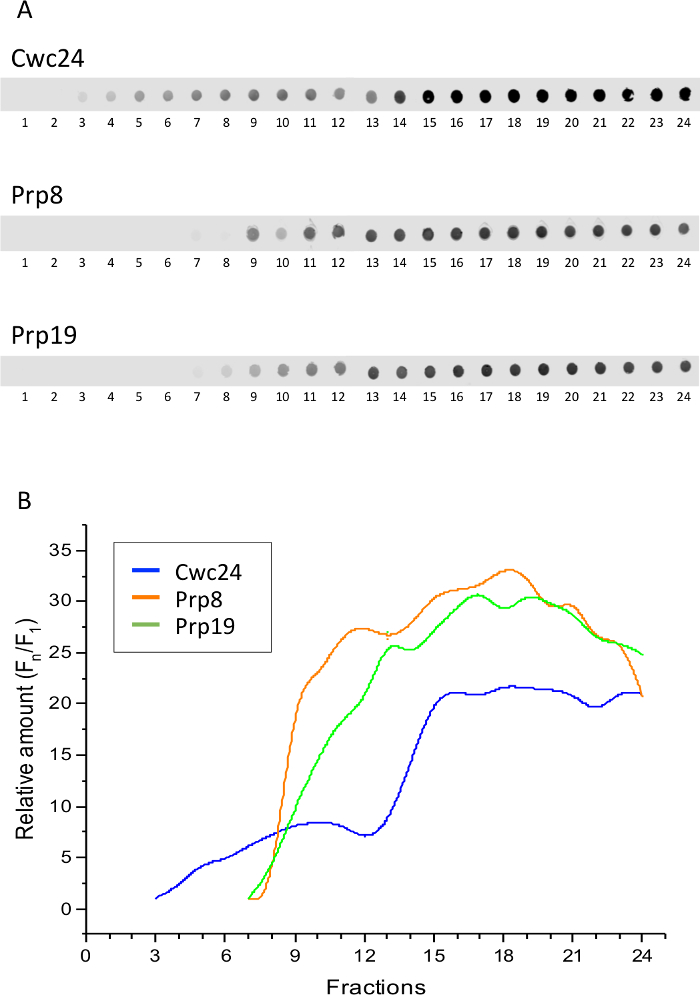 figure-results-2 figure-results-2