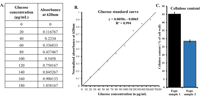 figure-results-4 Glucose concentration vs absorbance data table, standard curve graph, cellulose content bar chart.