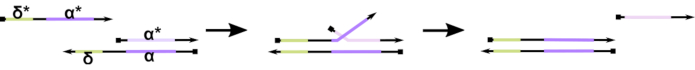 figure-introduction-1 figure-introduction-1