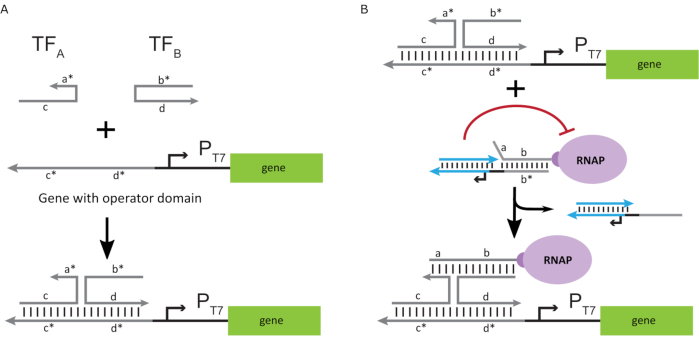 figure-introduction-3 figure-introduction-3