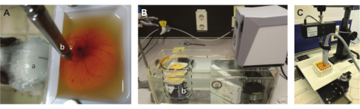 figure-results-5 Aquaculture system: data analysis, hatchery, embryo observation; setup involves tanks, microscope, camera.