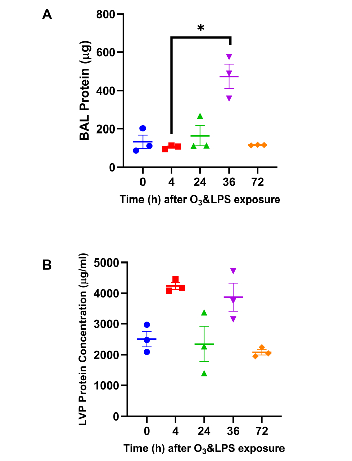 Protein concentration graphs; BAL, LVP vs. time after O3 & LPS exposure. Comparative analysis.