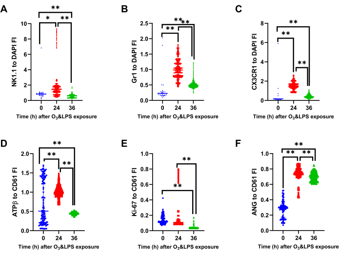 Ozone exposure effect on cell markers; fluorescence intensity charts A-F, statistical data analysis.