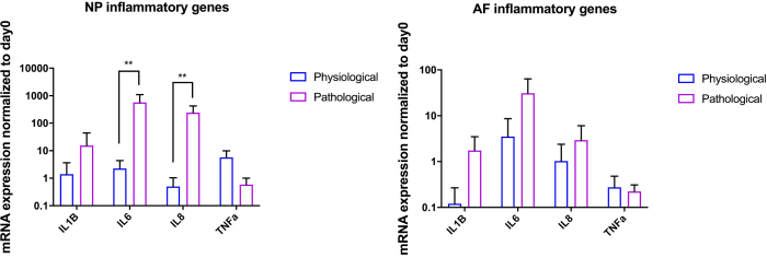 figure-results-1 髓核和纤维环组织的炎症相关基因表达柱状图;mRNA 水平已标准化至第 0 天。