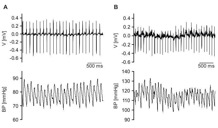 figure-results-4