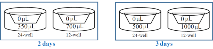 Well diagram showing 24-well and 12-well volumes for 2-3 day experimental setup in research study.