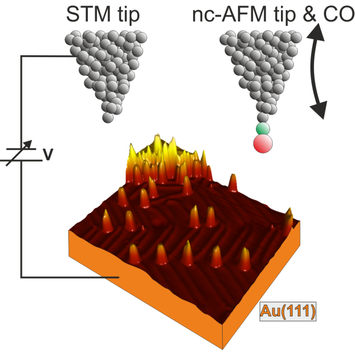 figure-results-2 STM and nc-AFM diagram with Au(111) surface, showing tips and CO interaction for surface analysis.