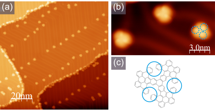 figure-results-4 Atomic force microscopy images showing nanoparticles arrangement on surfaces, depicting nanostructure layout.