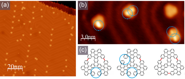 figure-results-5 Atomic force microscopy nanostructure analysis; diagrams of molecular arrangement and surface features.