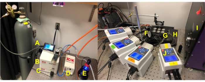 Spectroscopy setup for optical excitation, featuring gas tank, control units, and laser system.
