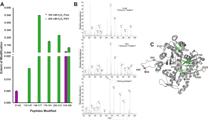 Mass spectrometry data analysis; peptide modification extent chart, spectra, protein structure diagram.