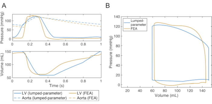 figure-results-3 Cardiac cycle analysis; pressure-volume graphs; left ventricle, aorta; FEA vs. lumped-parameter.