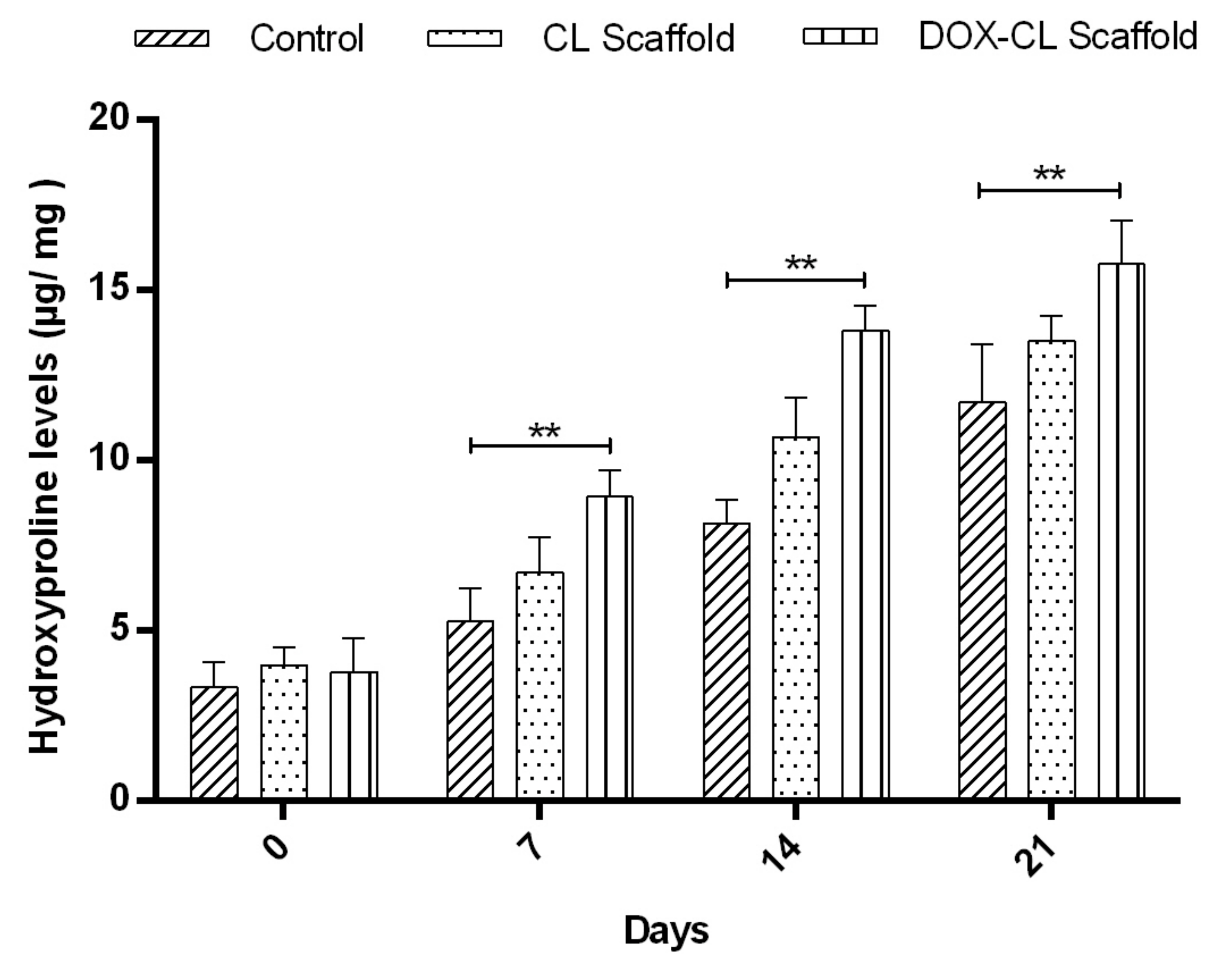 Video: Doxycycline Loaded Collagen-Chitosan Composite Scaffold for the ...