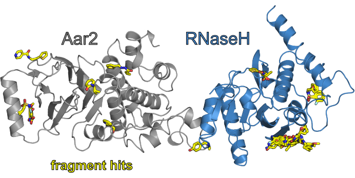 figure-results-7