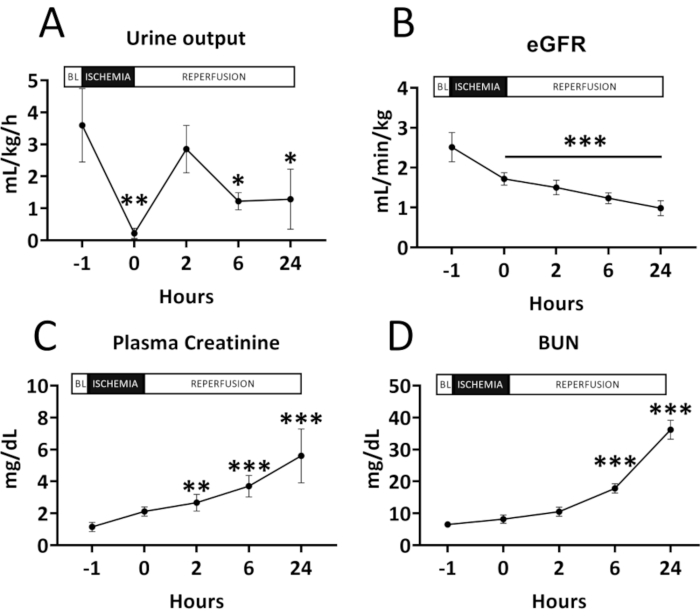 figure-results-2 Urine output, eGFR, plasma creatinine, BUN graphs; ischemia-reperfusion experiment results.