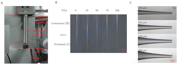 figure-results-1 Microfluidic chip fabrication process, syringe pump diagram, tapering tip results; contraction data.
