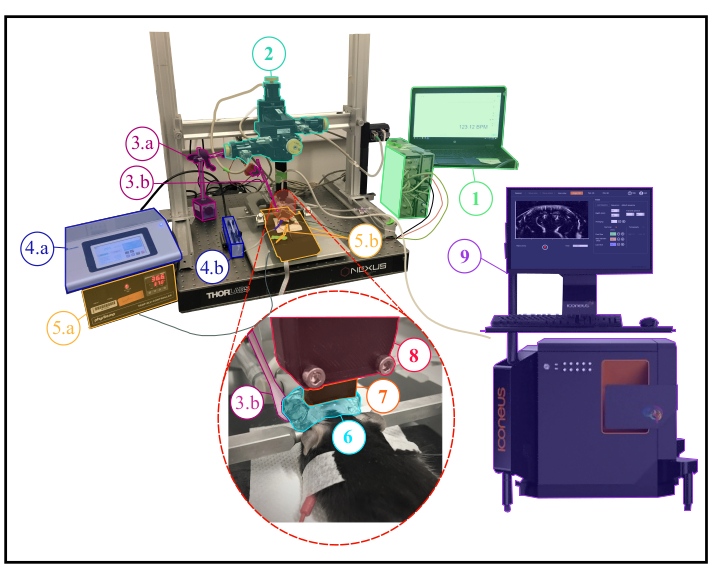 figure-protocol-1