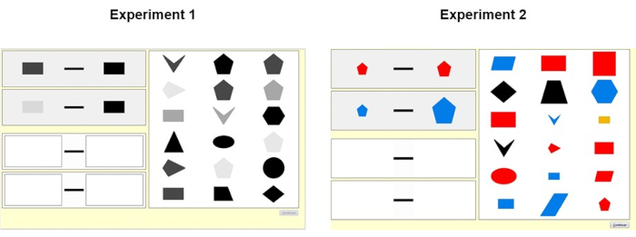 figure-protocol-2 形状匹配实验:不同排列和颜色的几何形状示意图。
