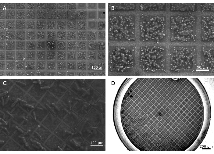 Scanning electron microscopy images of microarray grids showing cell distribution at various scales.
