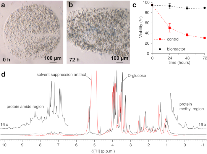 Cell viability over time; micrographs at 0h, 72h; NMR spectrum, protein-glucose analysis chart.