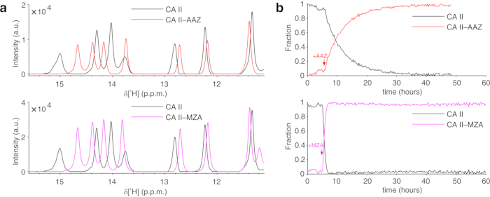 NMR spectroscopy; chemical shifts; CA II with inhibitors; spectral analysis and kinetic study graphs.
