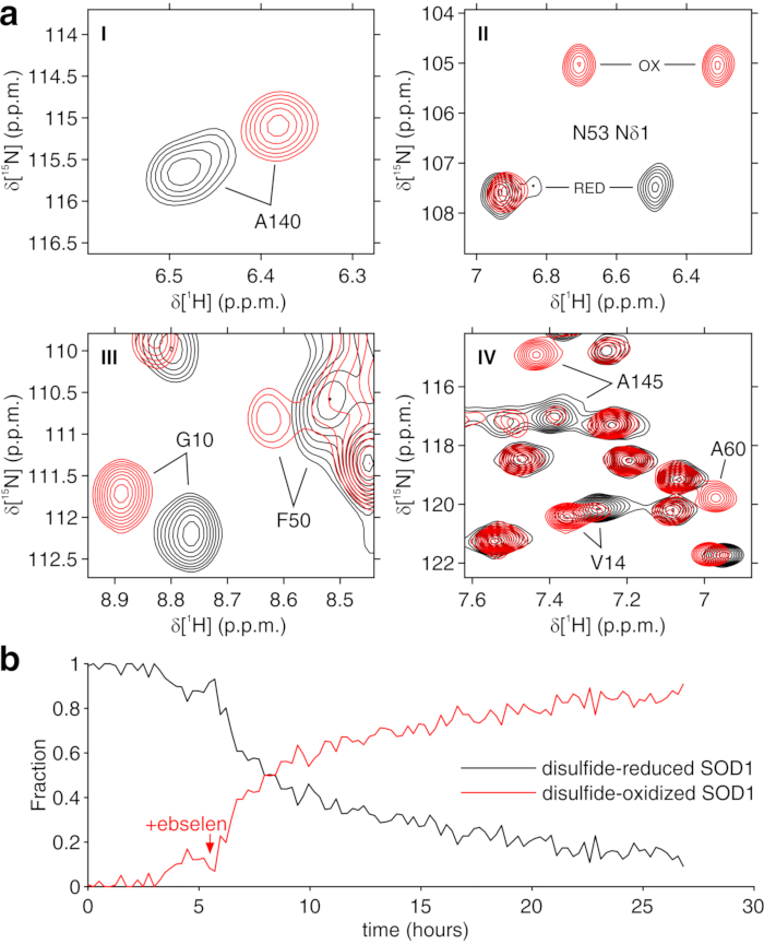 NMR spectroscopy diagrams and reaction graph; protein oxidation states, disulfide bonding analysis.