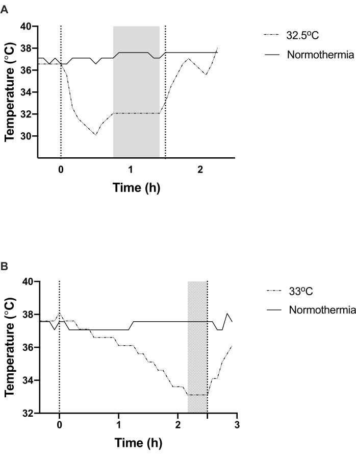 Temperature analysis, graph comparing 32.5°C and 33°C conditions over time, normothermia baseline.