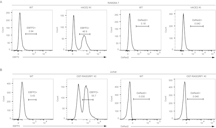 figure-results-3