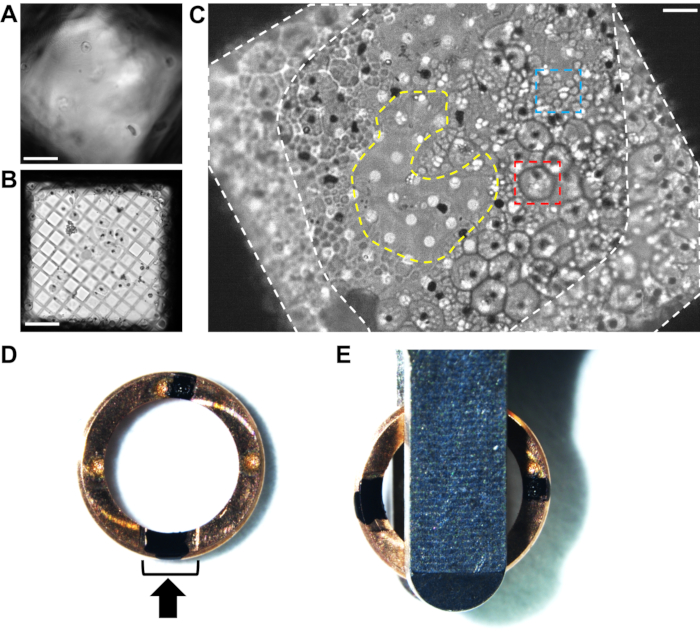 figure-results-2 Nanostructure synthesis, microscopy images, material analysis, experimental setups, photonic applications.