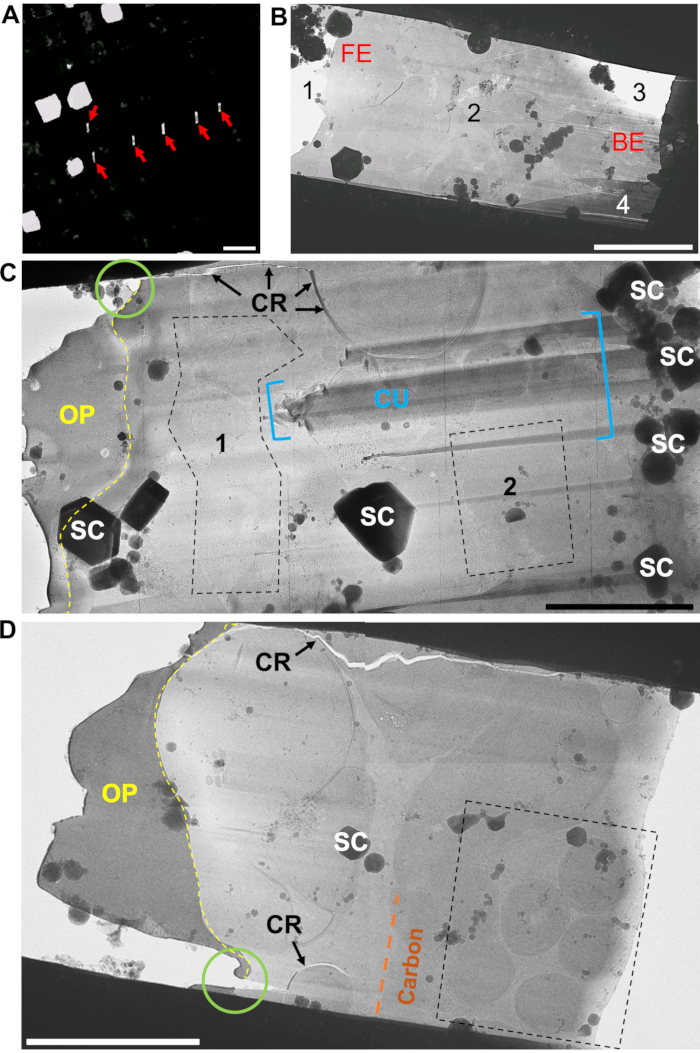 figure-results-6 Electron microscopy images showing crystalline structures and defects analysis in mineral samples.