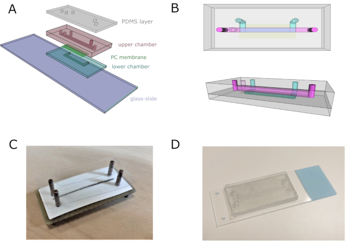 Microfluidic device assembly diagram and photos for particle separation; includes PDMS, chambers, slide.