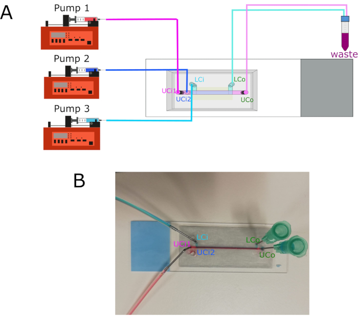 Microfluidic setup diagram and photo showing pump system for liquid control and waste management.