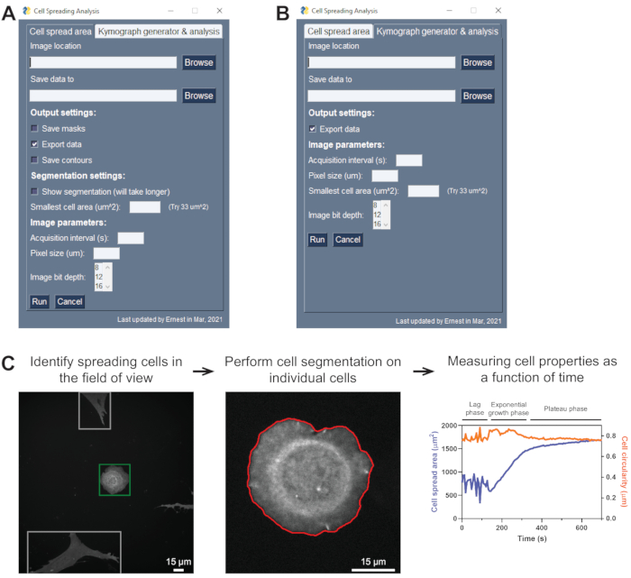 figure-results-3 Cell segmentation and analysis software interface, cell spread identification, and growth phase chart.