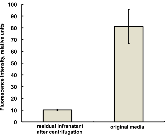 figure-results-3 Fluorescence intensity comparison chart; residual infranatant vs. original media after centrifugation.