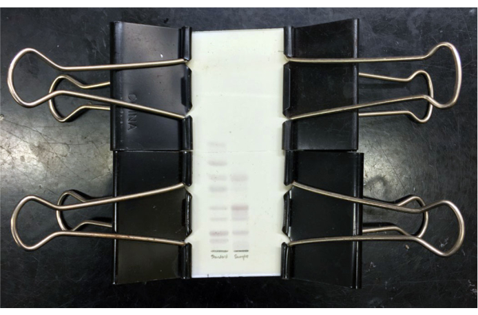 figure-protocol-2 Protein chromatography result; electrophoresis setup with binder clips securing gel matrix; sample bands.
