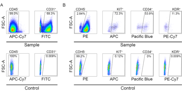 figure-results-2 Flow cytometry analysis; APC-Cy7 FITC markers, FSC-A scatter plot, experimental vs. control results.
