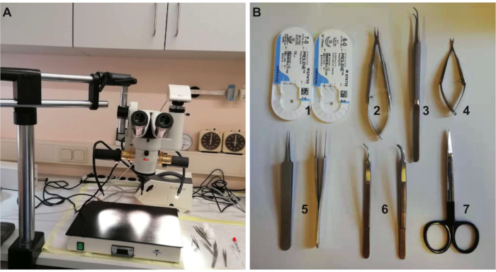 Surgical dissection setup with microscope; tools include forceps, scissors for precision procedures.