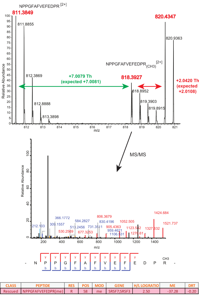 Mass spectrometry spectra of peptide NPPGFAFVEFEDPR showing m/z values and MS/MS ion fragmentation.