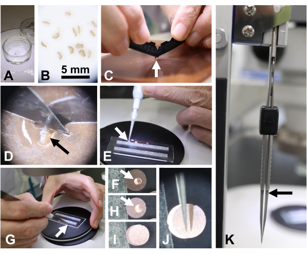 multistep process for sample preparation; embedding, slicing, mounting, and puncture for analysis