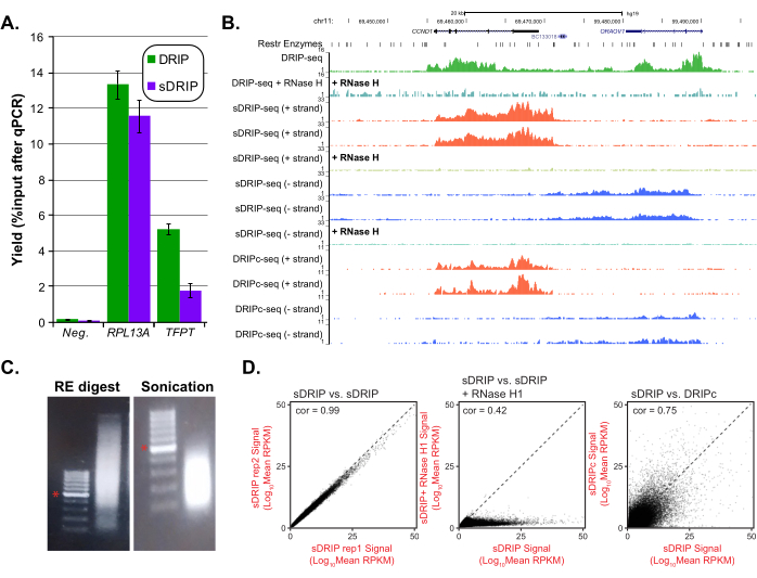DRIP and sDRIP data comparison in qPCR yield bar chart, sequencing patterns, gel electrophoresis, scatter plots.