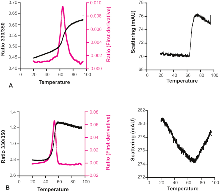 figure-discussion-1 Thermal stability analysis; temperature-dependent graph showing absorbance and scattering changes.