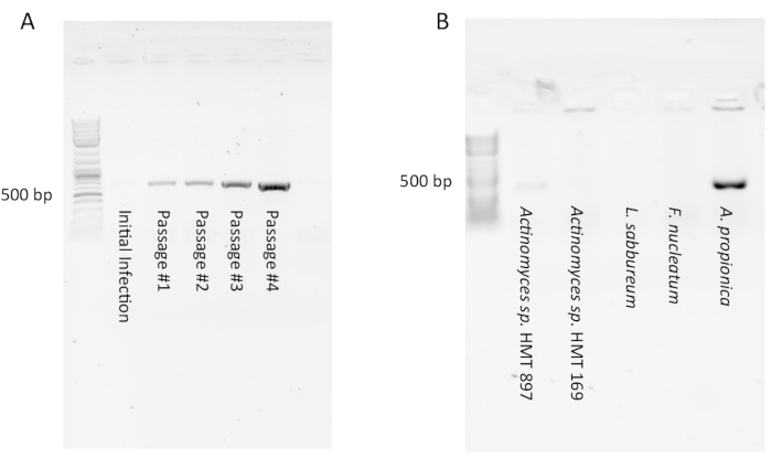 figure-results-1