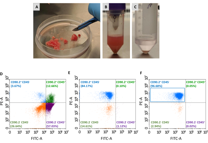 Cell sorting experiment; includes cell sample preparation, centrifuge tubes, and flow cytometry results.