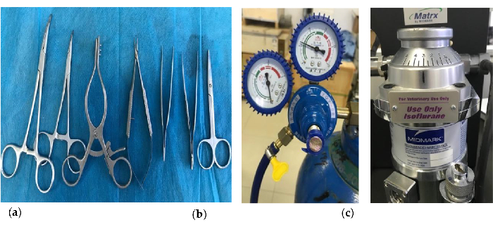 Surgical tools layout and anesthesia equipment in veterinary setting; instrumentation essentials.