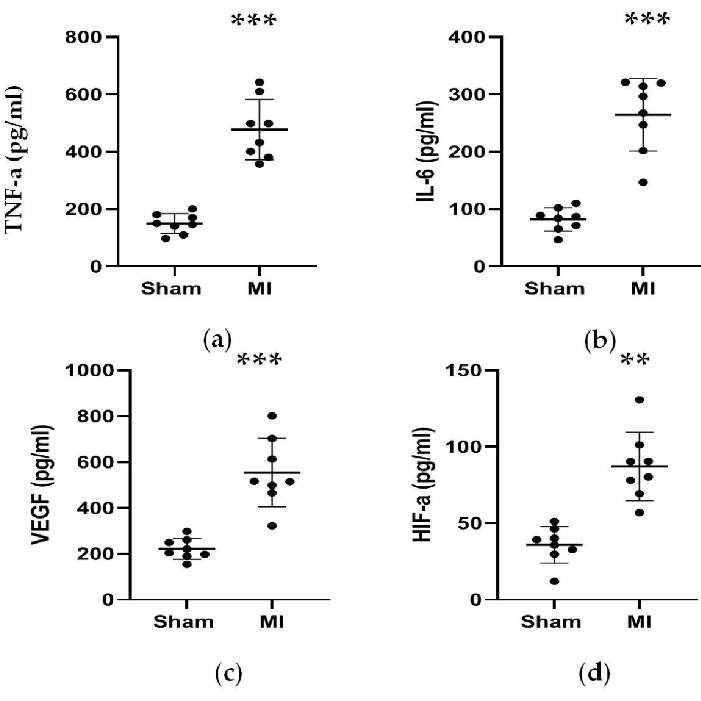 Cytokine level comparison in MI vs. Sham; TNF-a, IL-6, VEGF, HIF-a; bar chart; statistical analysis.