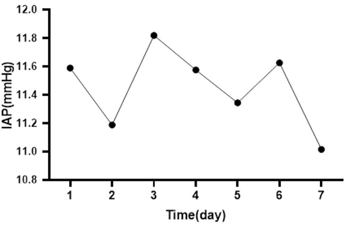 IAP vs. time line graph; data analysis of intra-abdominal pressure variation over a week.