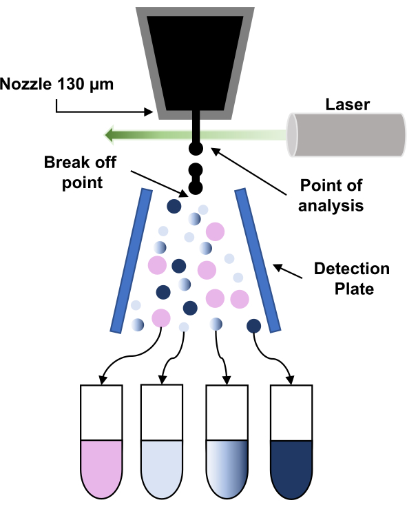 Laser-induced fluorescence analysis diagram; chromatography setup, molecule detection process.