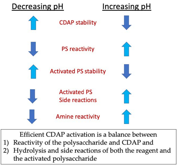 CDAP activation pH effect diagram; stability, reactivity trends, polysaccharide chemistry.